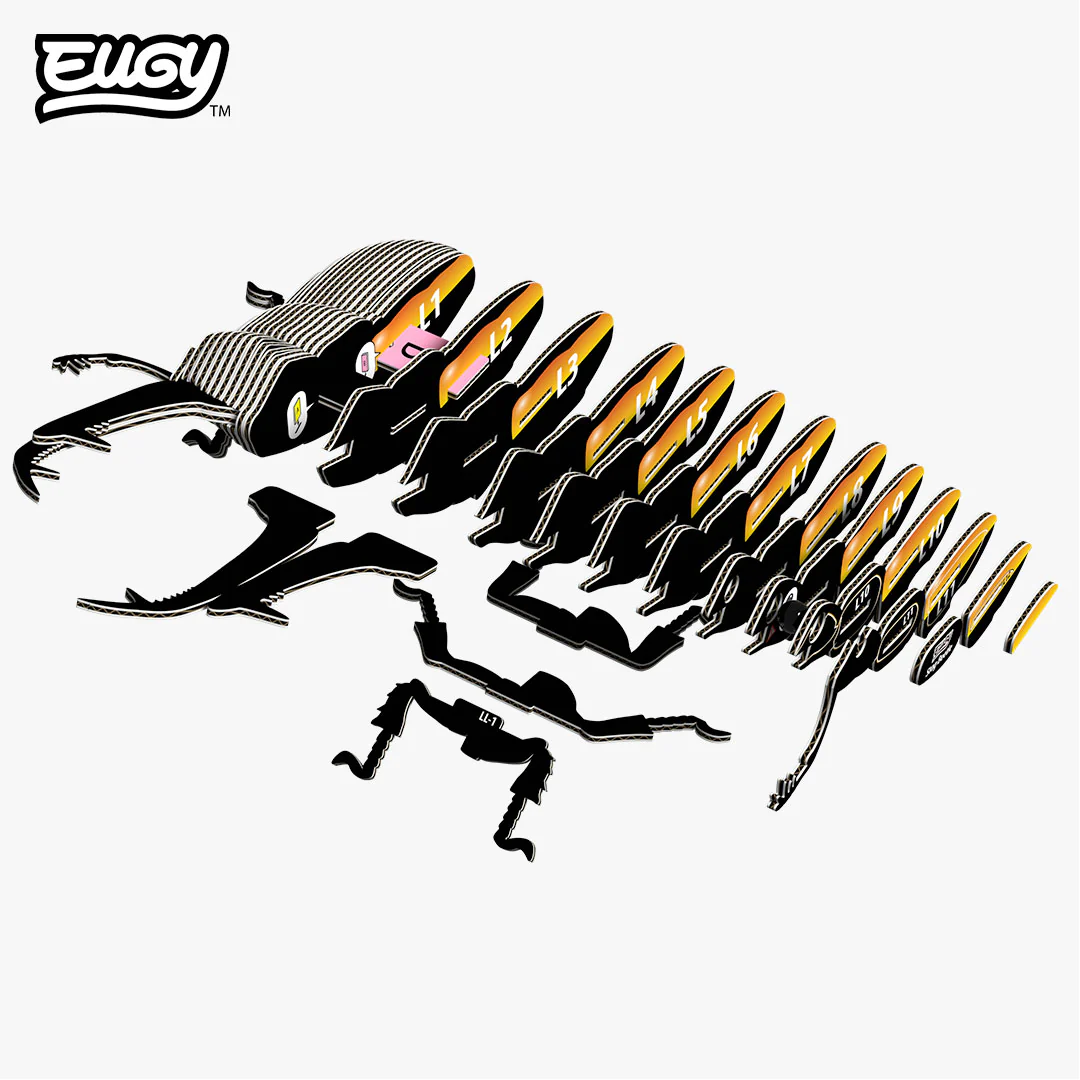 114 Stag Beetle - Image 5
