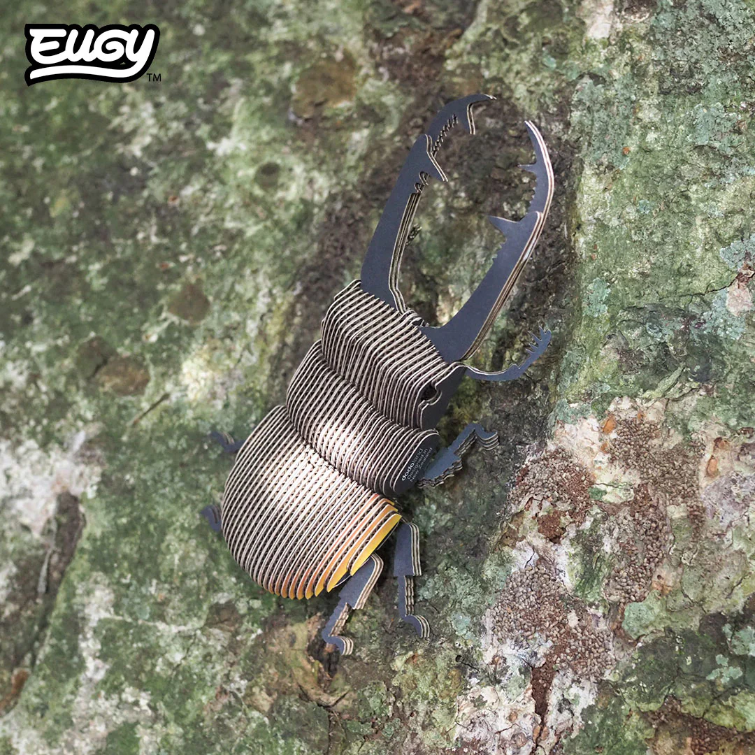 114 Stag Beetle - Image 8