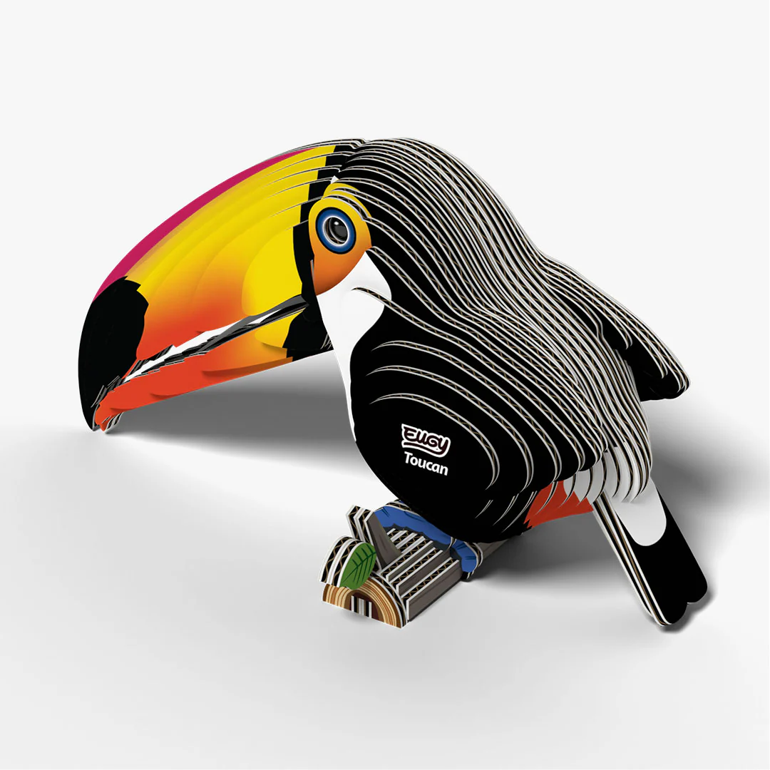 115 Toucan - Image 4