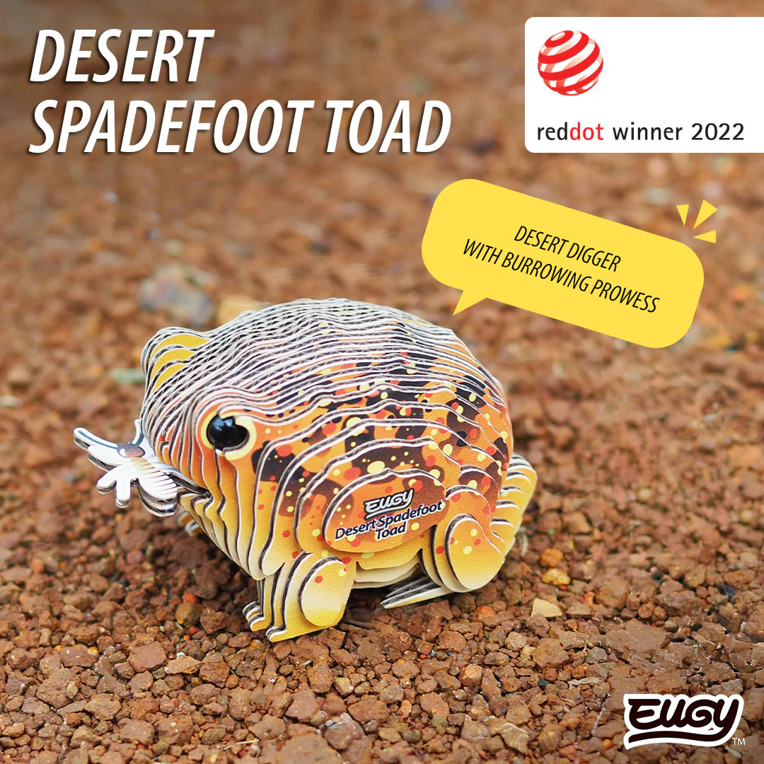 117 Desert Spadefoot Toad - Image 7