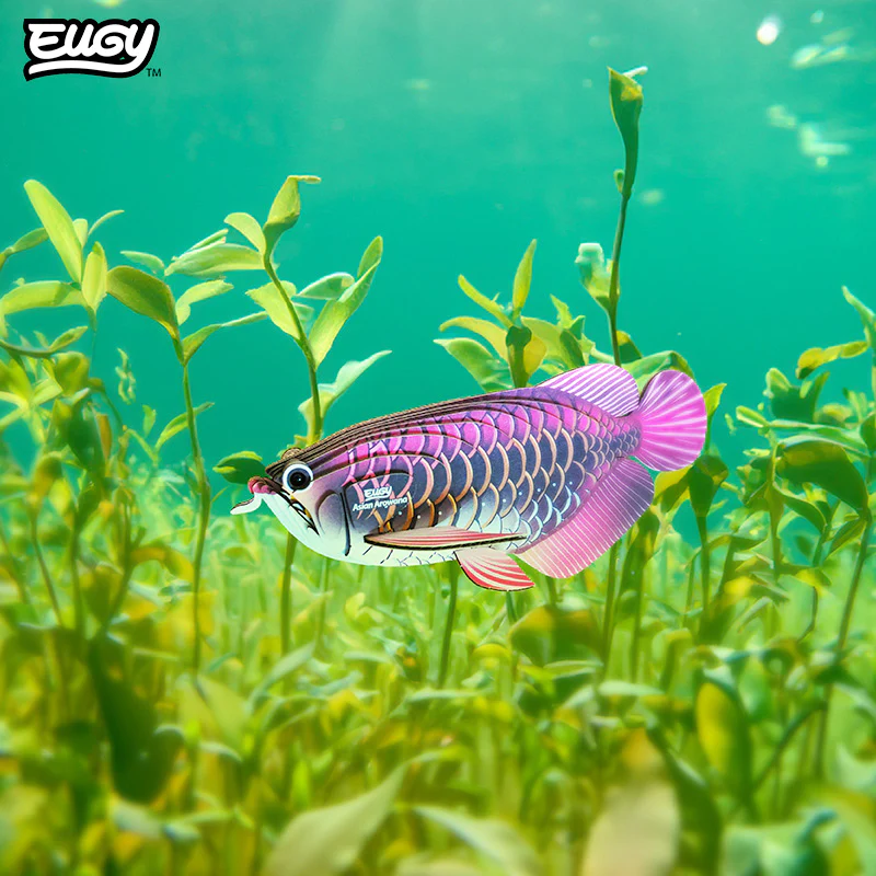 118 Asian Arowana - Image 7