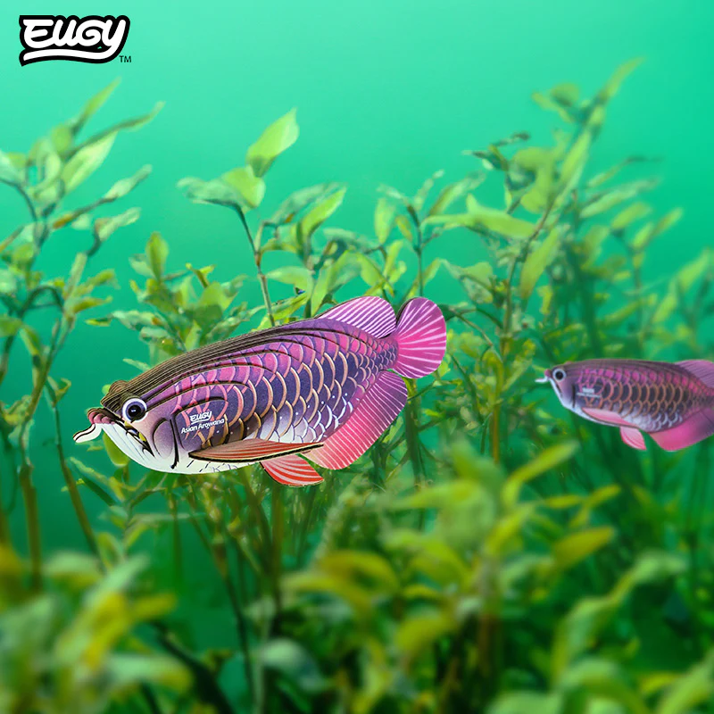 118 Asian Arowana - Image 8