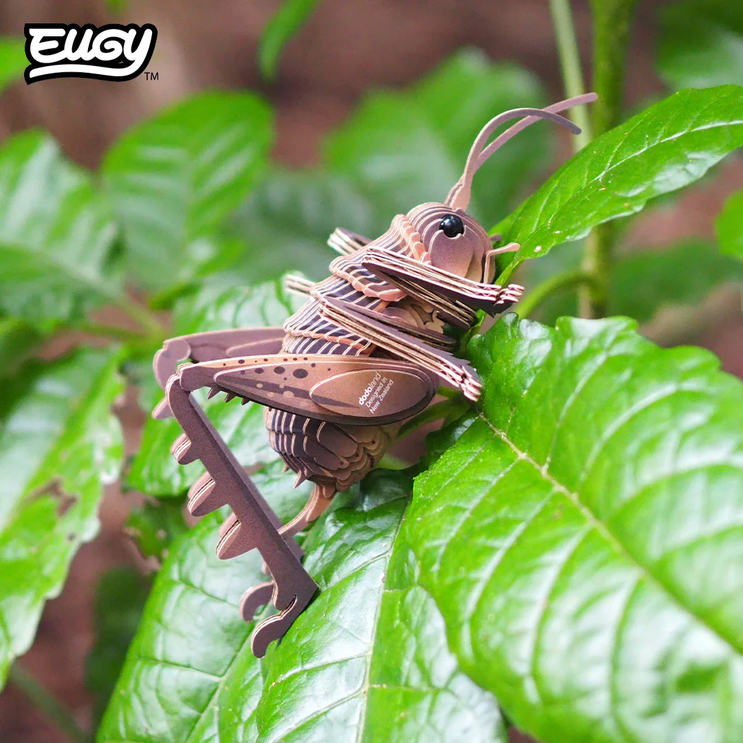 119 Giant Wētā - Image 8