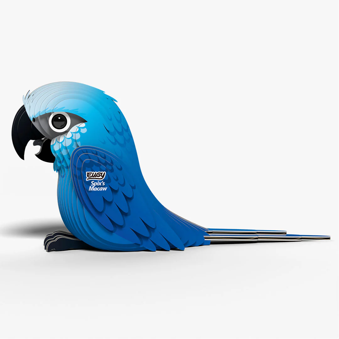 123 Spix's Macaw - Image 3