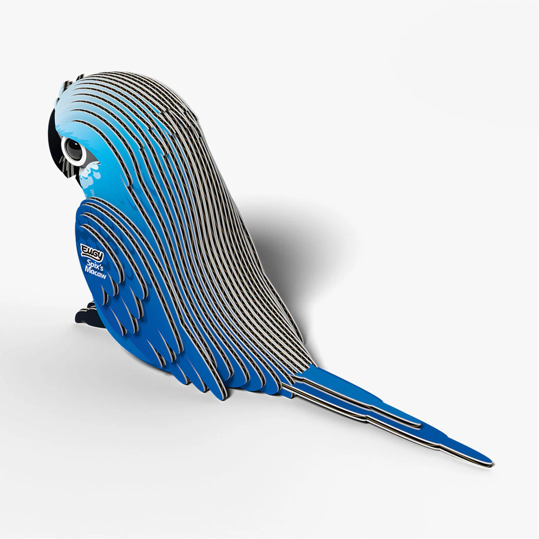 123 Spix's Macaw - Image 4