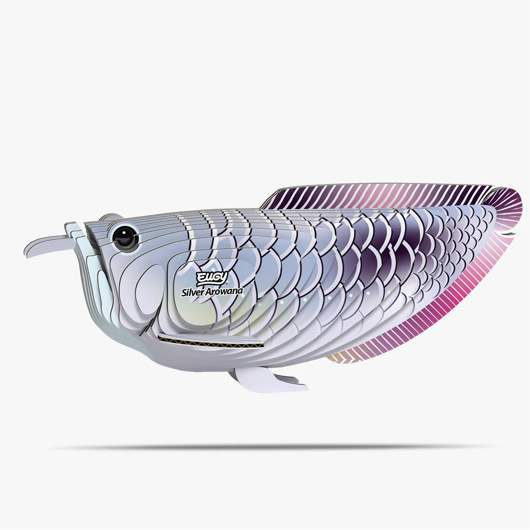124 Silver Arowana