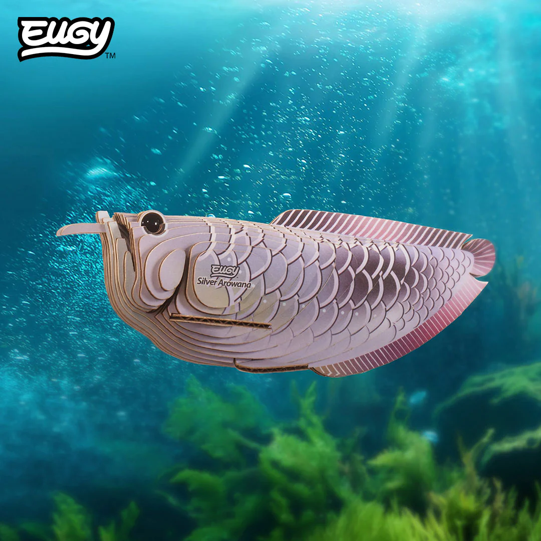 124 Silver Arowana - Image 8