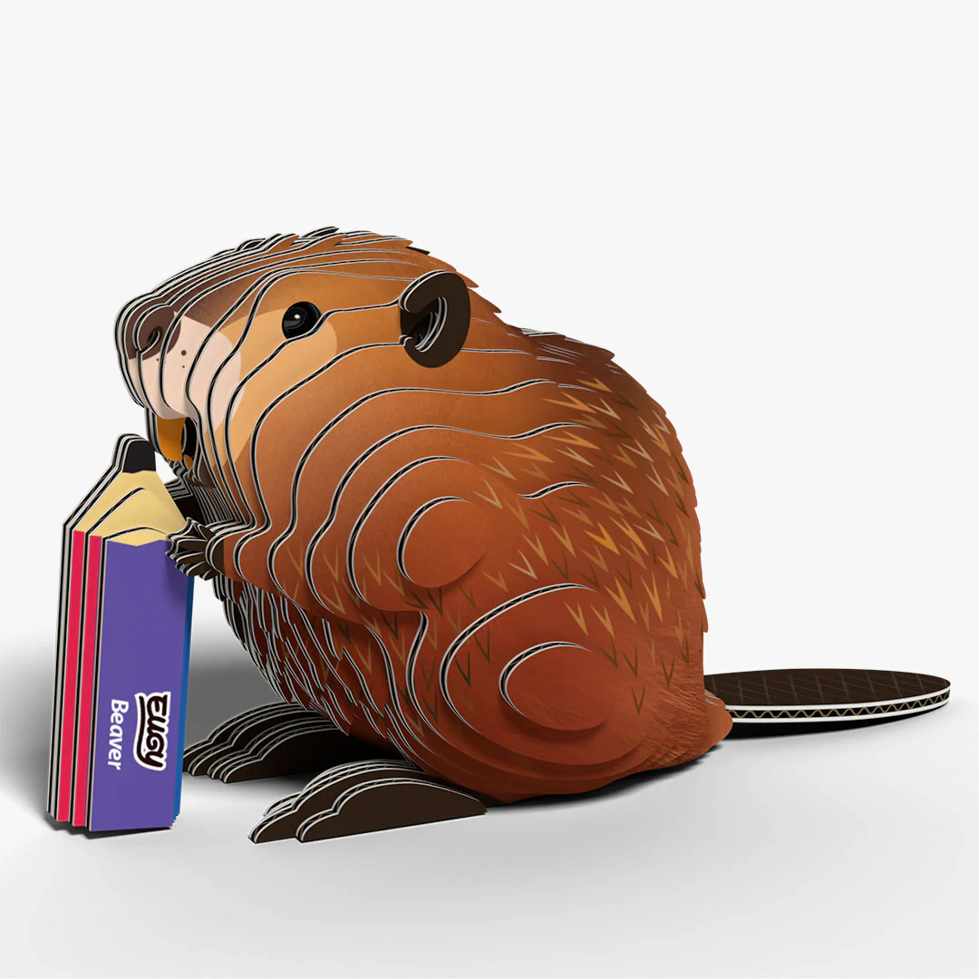 127 Beaver - Image 2