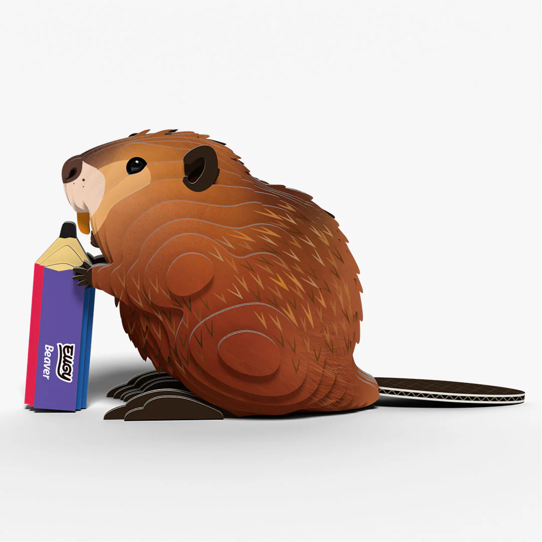 127 Beaver - Image 3