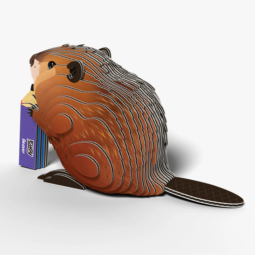 127 Beaver - Image 4
