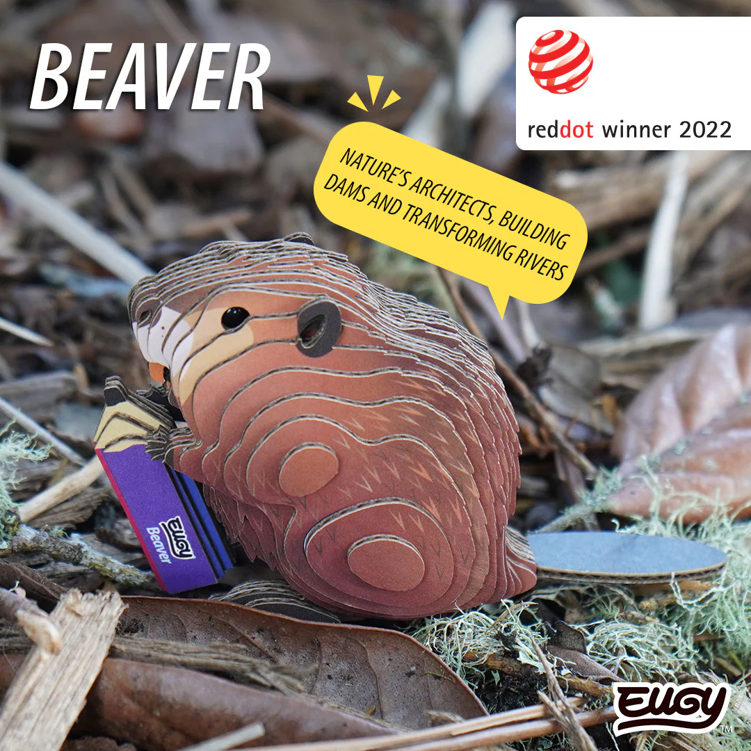 127 Beaver - Image 7