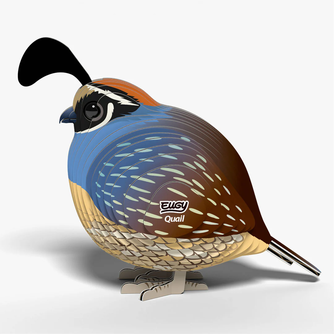 129 Quail - Image 3