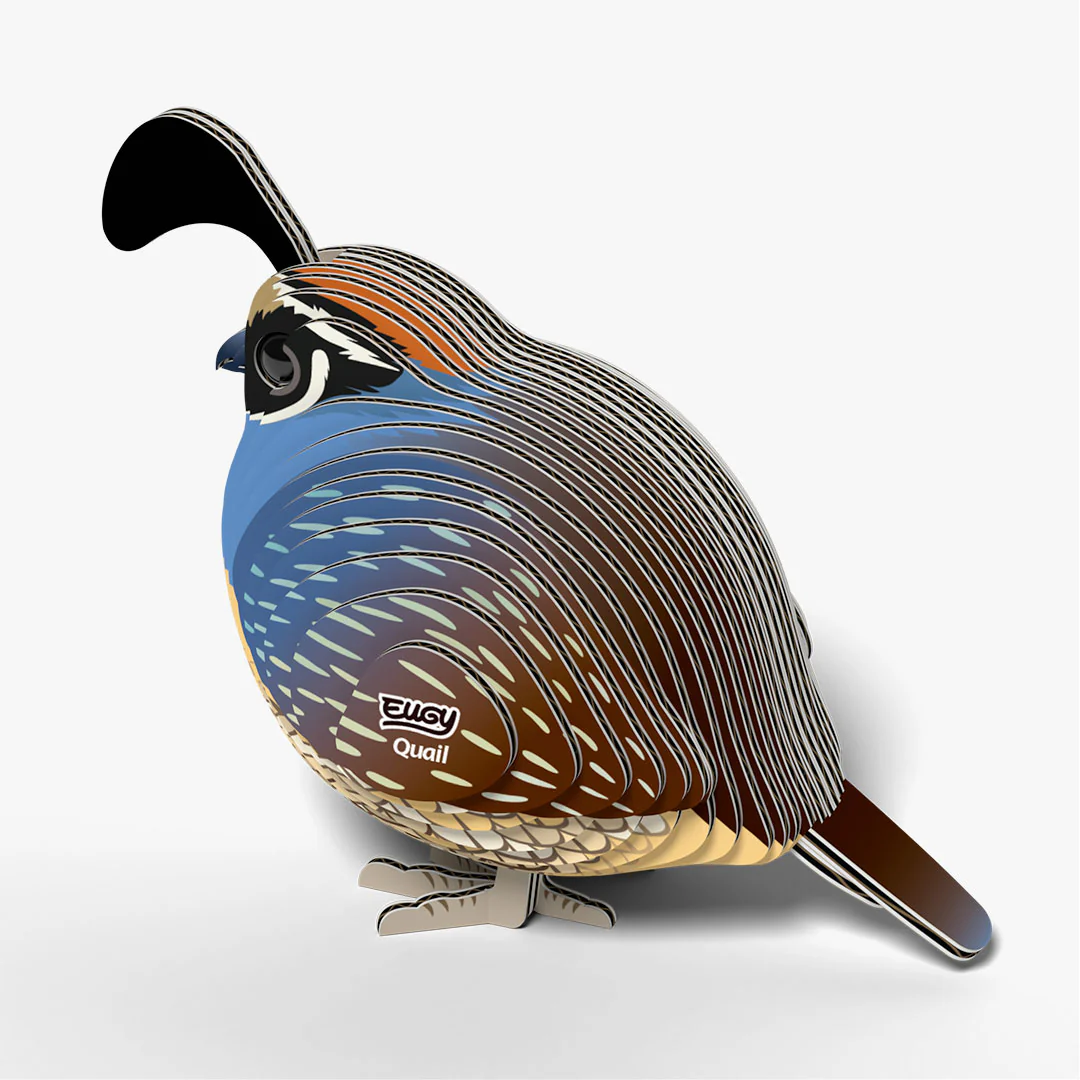 129 Quail - Image 4
