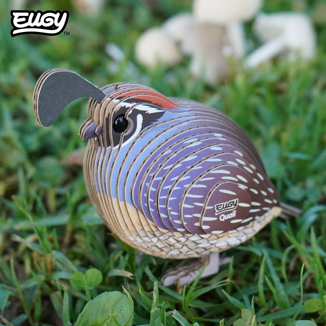 129 Quail - Image 9