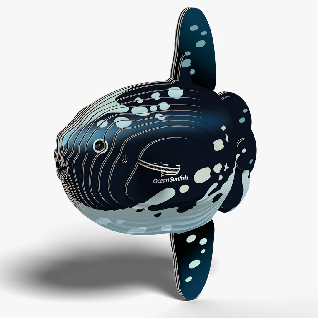 132 Ocean Sunfish - Image 2