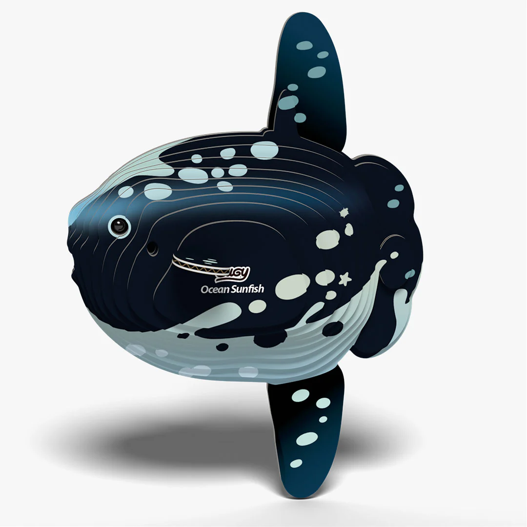 132 Ocean Sunfish - Image 3