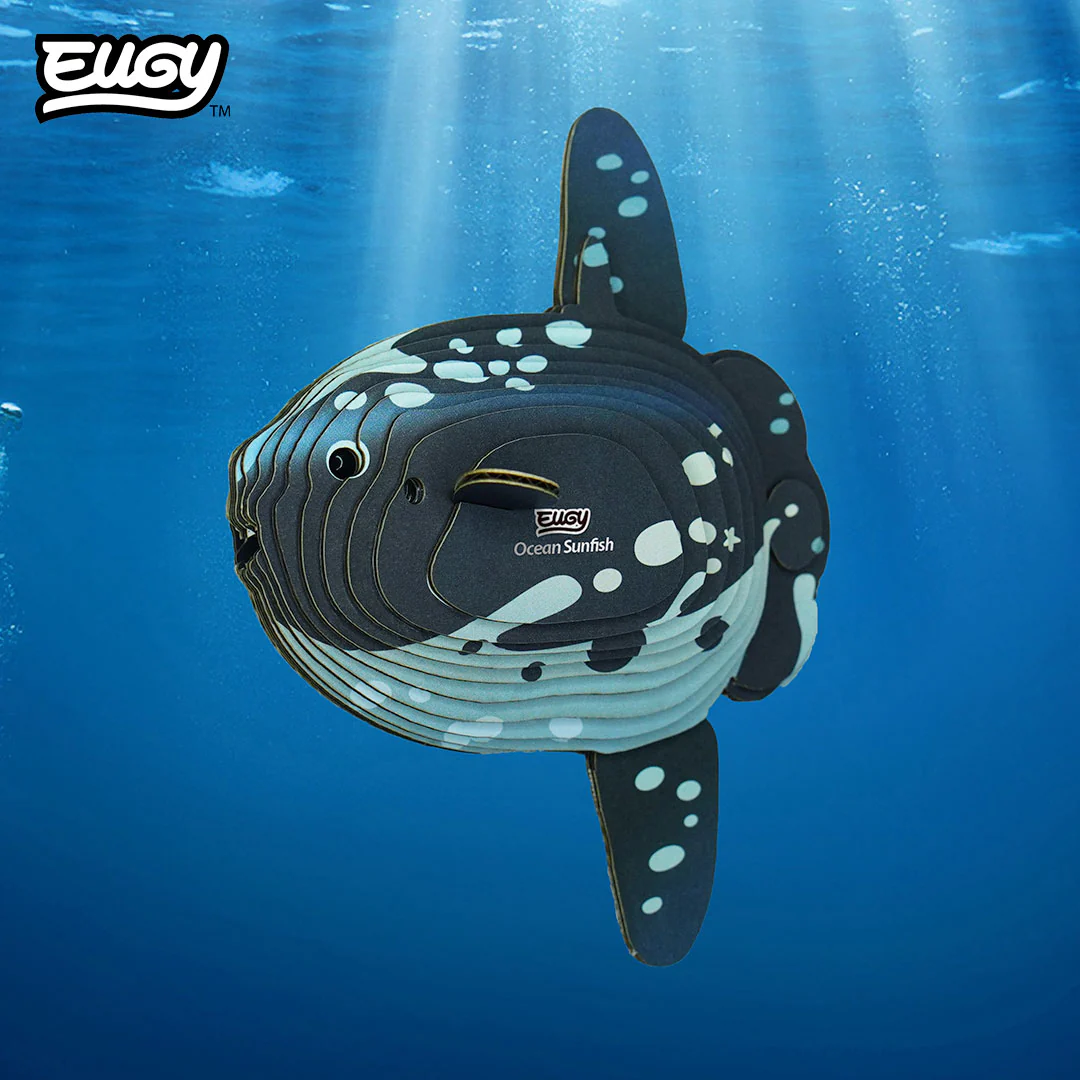 132 Ocean Sunfish - Image 9