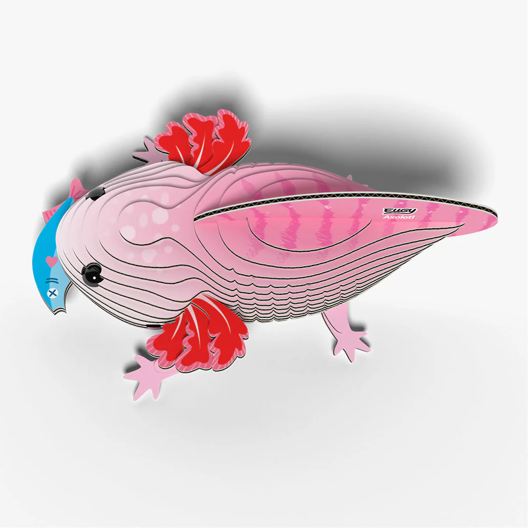139 Axolotl - Image 3