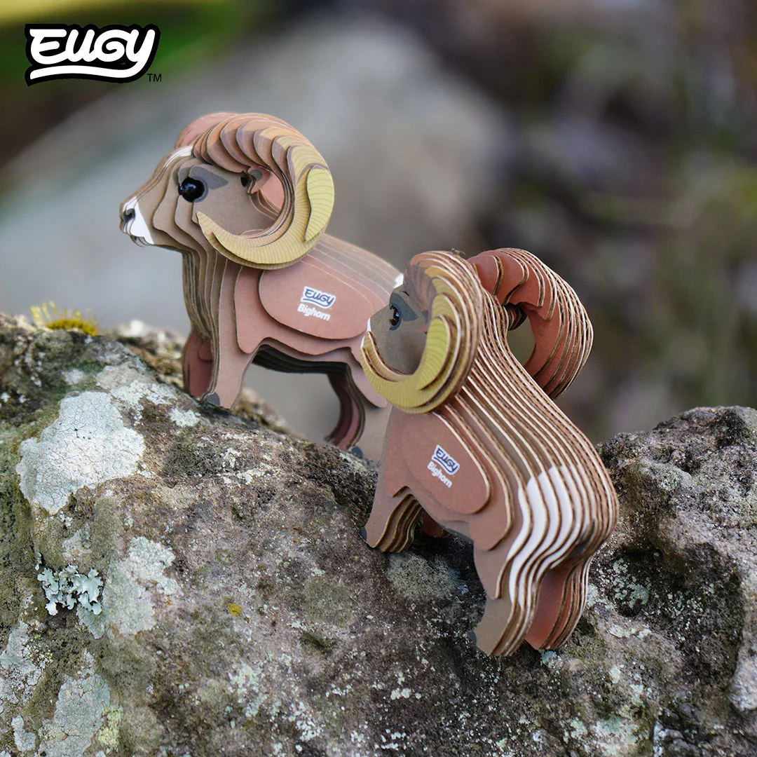 145 Bighorn - Image 7